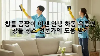 창틀 곰팡이, 이젠 안녕! 하동 옥종면 창틀 청소 전문가의 도움 받기